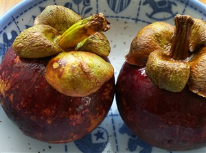 フェイジョア・マンゴスチン・シークワーサーのレビュー