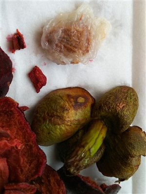 フェイジョア・マンゴスチン・シークワーサーのレビュー